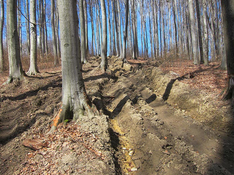 Kahlenberg